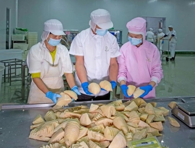 樂安:假期不停工 企業生產忙 農副產品產業鏈蓄勢賦能